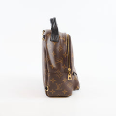 Louis Vuitton Palm Spring Backpack Mini Monogram