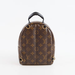 Louis Vuitton Palm Spring Backpack Mini Monogram