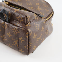 Louis Vuitton Palm Spring Backpack Mini Monogram