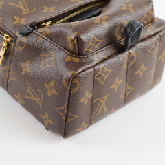 Louis Vuitton Palm Spring Backpack Mini Monogram