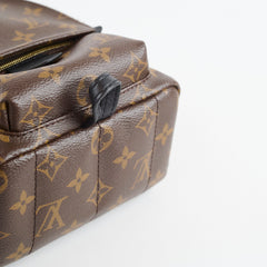Louis Vuitton Palm Spring Backpack Mini Monogram