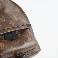 Louis Vuitton Palm Spring Backpack Mini Monogram