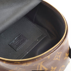 Louis Vuitton Palm Spring Backpack Mini Monogram