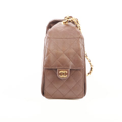 Chanel Small Chanel 25 Bag Brown