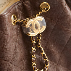 Chanel Small Chanel 25 Bag Brown