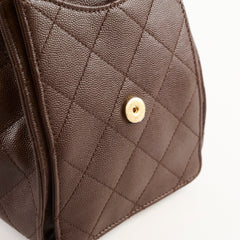 Chanel Small Chanel 25 Bag Brown
