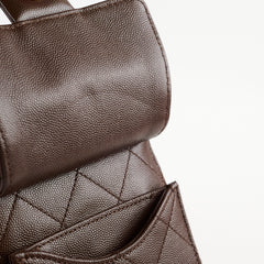 Chanel Small Chanel 25 Bag Brown