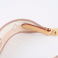 Louis Vuitton Canvas Logo Webbing Strap