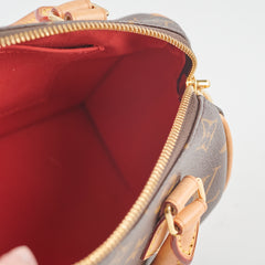 Louis Vuitton Speedy 20 Monogram