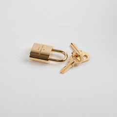 Louis Vuitton Speedy 20 Monogram