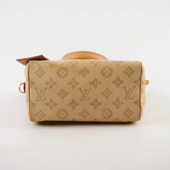 Louis Vuitton Speedy Bandoulière 20 Monogram Origine Lin Canvas Cream(2026)