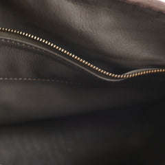 Louis Vuitton Monogram Suede Python Whisper Bag