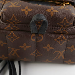 Louis Vuitton Palm Springs Mini Monogram Backpack