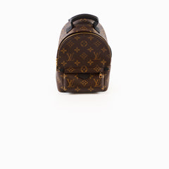 Louis Vuitton Palmspring Backpack Mini Monogram