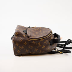 Louis Vuitton Palmspring Backpack Mini Monogram