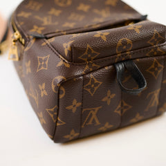 Louis Vuitton Palmspring Backpack Mini Monogram