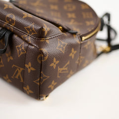 Louis Vuitton Palmspring Backpack Mini Monogram