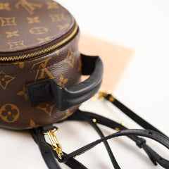 Louis Vuitton Palmspring Backpack Mini Monogram