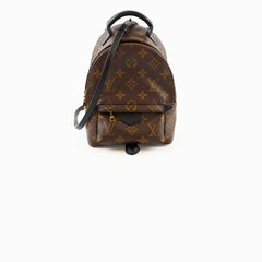 Louis Vuitton Mini Palm Springs