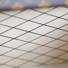 Louis Vuitton Petite Malle Monogram