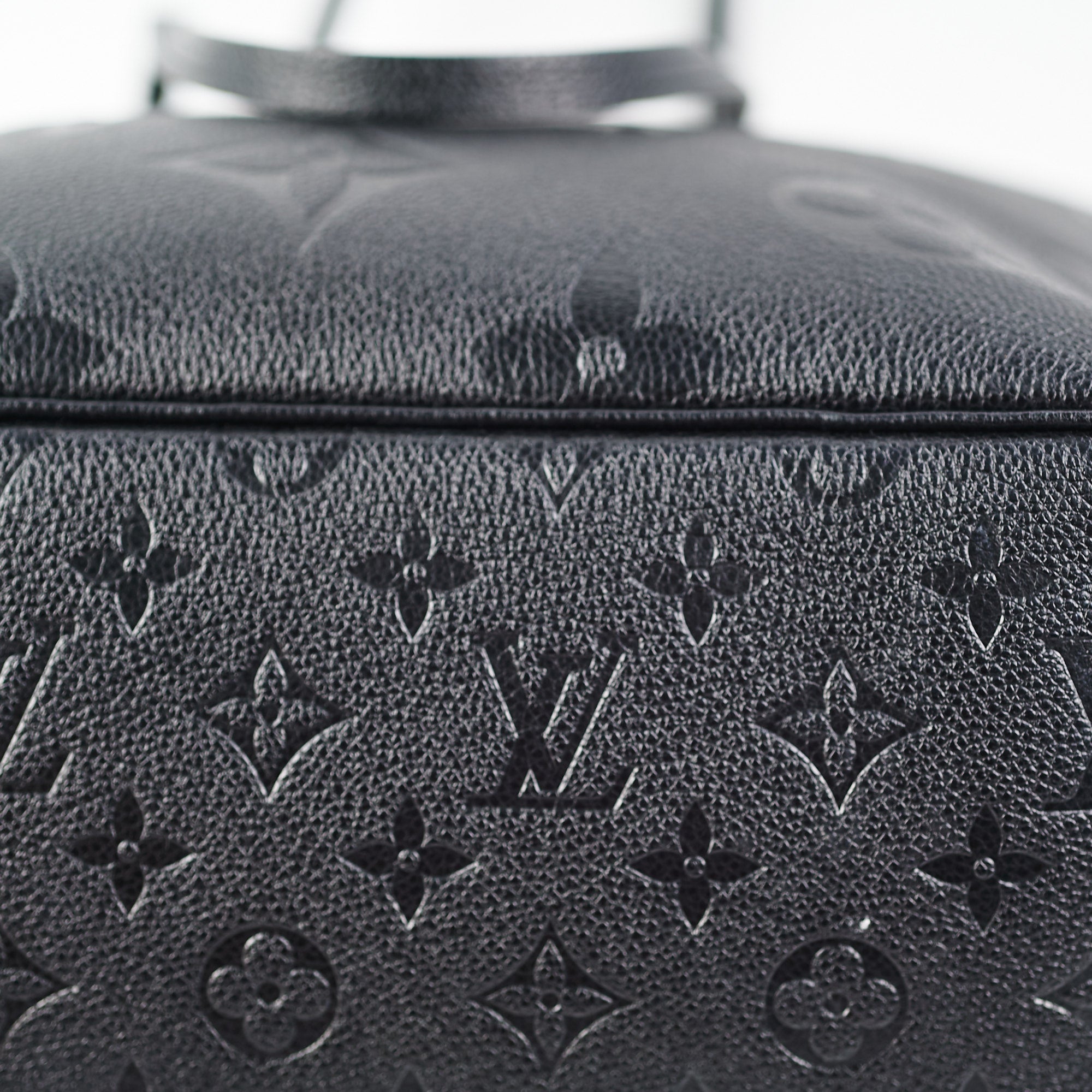 Louis Vuitton Amplant Bicolor Neverfull Mm M46103 Pouch Black