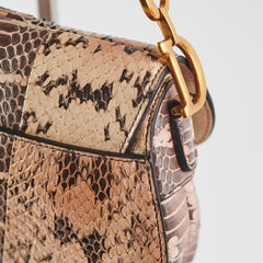 Christina Dior Mini Saddle Snake Skin