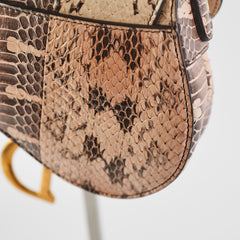 Christina Dior Mini Saddle Snake Skin
