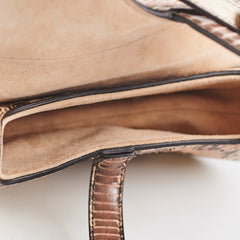 Christina Dior Mini Saddle Snake Skin