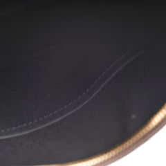 Louis Vuitton Damier Ebene Odeon MM Bag