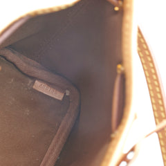 Louis Vuitton Nano Noe Monogram Crossbody