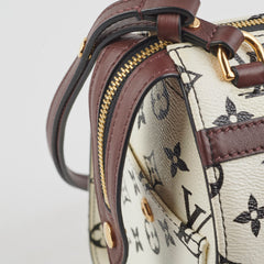 Louis Vuitton Amazon Speedy PM Monogram