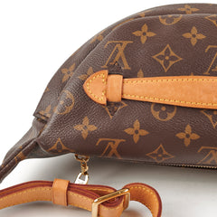 Louis Vuitton Bumbag Monogram