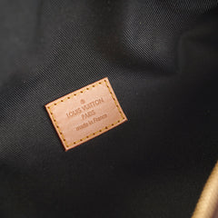 Louis Vuitton Bumbag Monogram