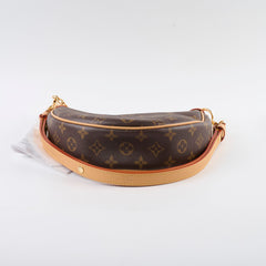 Louis Vuitton Loop Monogram Bag