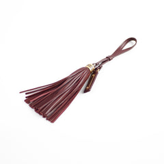 Saint Laurent Lou Camera Maroon Bag