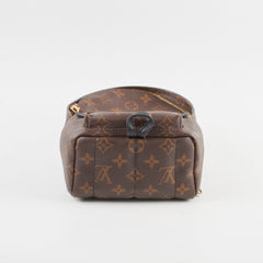 Louis Vuitton Mini Palm Spring Backpack Monogram