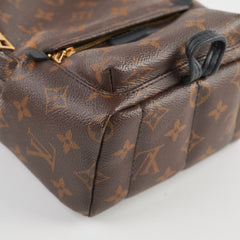 Louis Vuitton Mini Palm Spring Backpack Monogram