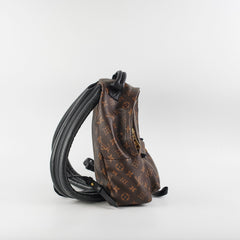 Louis Vuitton Palm Springs MM