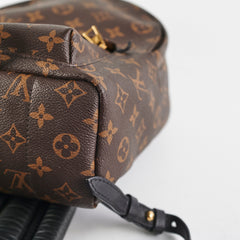 Louis Vuitton Palm Springs MM