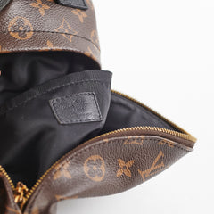 Louis Vuitton Palm Springs MM