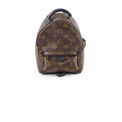 Louis Vuitton Palm Springs Mini (new zip)