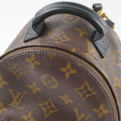 Louis Vuitton Palm Springs Mini (new zip)