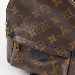 Louis Vuitton Palm Springs Mini (new zip)