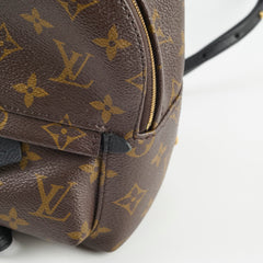 Louis Vuitton Palm Springs Mini (new zip)
