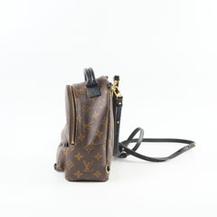 Louis Vuitton Palm Springs Mini (new zip)