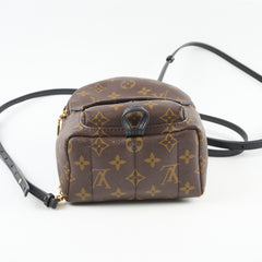 Louis Vuitton Palm Springs Mini (new zip)