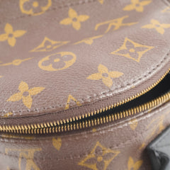 Louis Vuitton Palm Springs Mini (new zip)