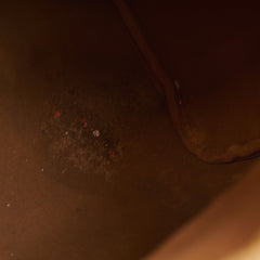 35802. Louis Vuitton Speedy 30 Monogram