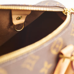 Louis Vuitton Speedy 25 Monogram 2021