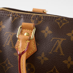 Louis Vuitton Speedy 25 Bandouliere Monogram